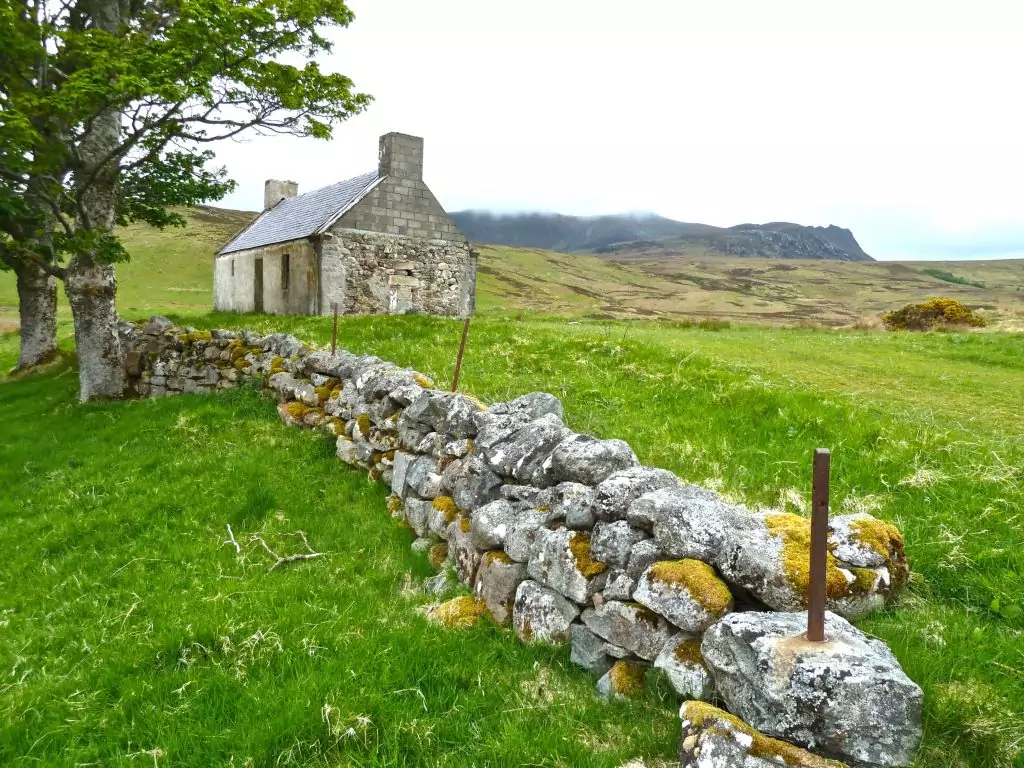 Champ en Irlande près d'une maison ancienne
