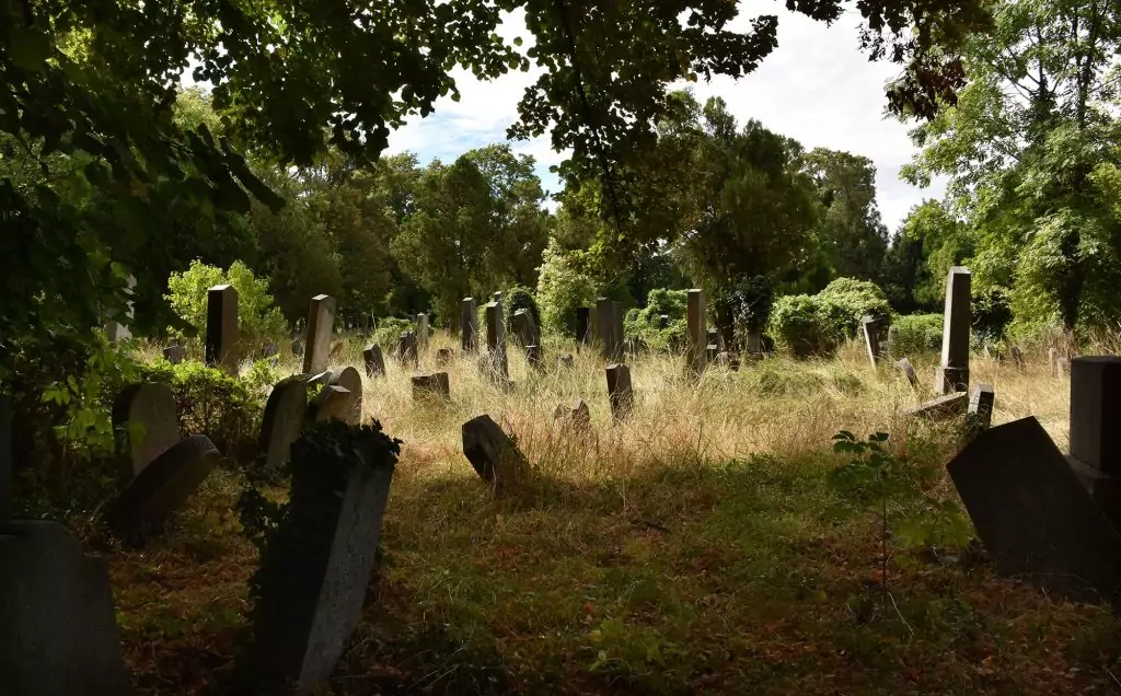 Cimetière dont les tombes sont recouvertes de végétation.